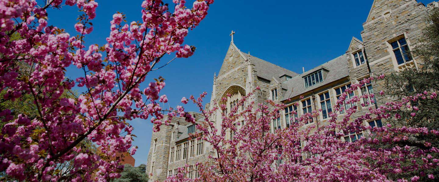 Georgetown University