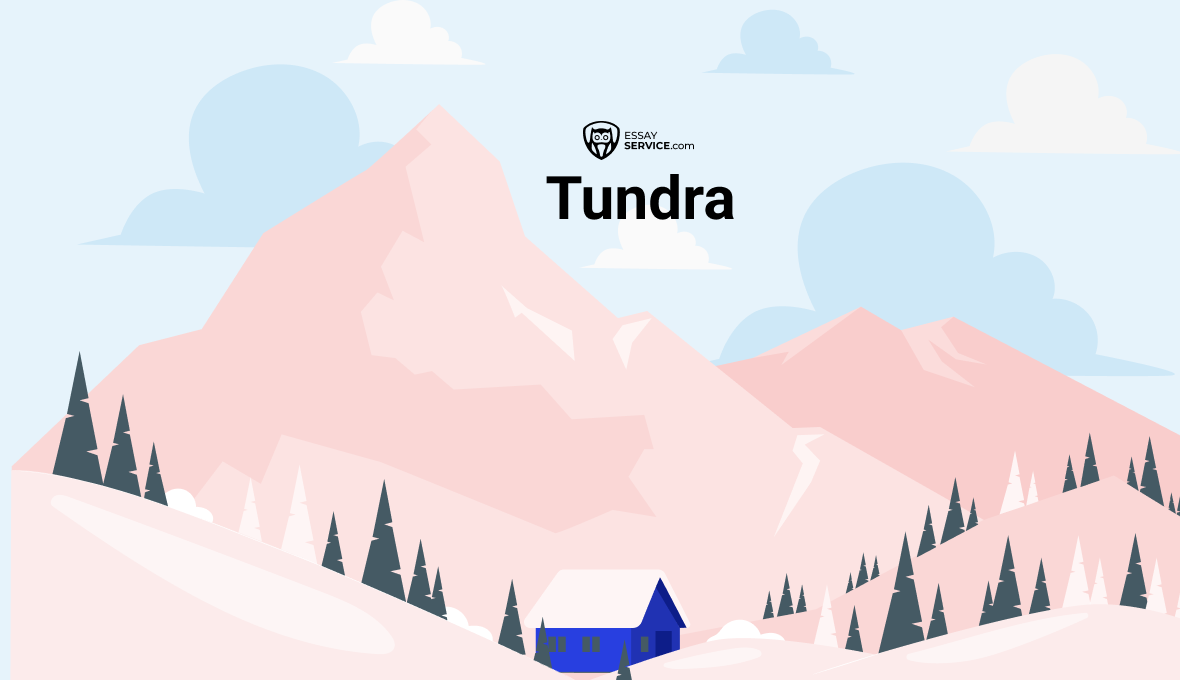 Tundra – Das einfachste Biom